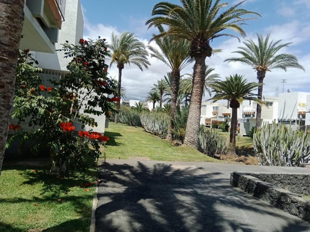 Bonito Apartamento De 1 Habitacion 아로나 외부 사진